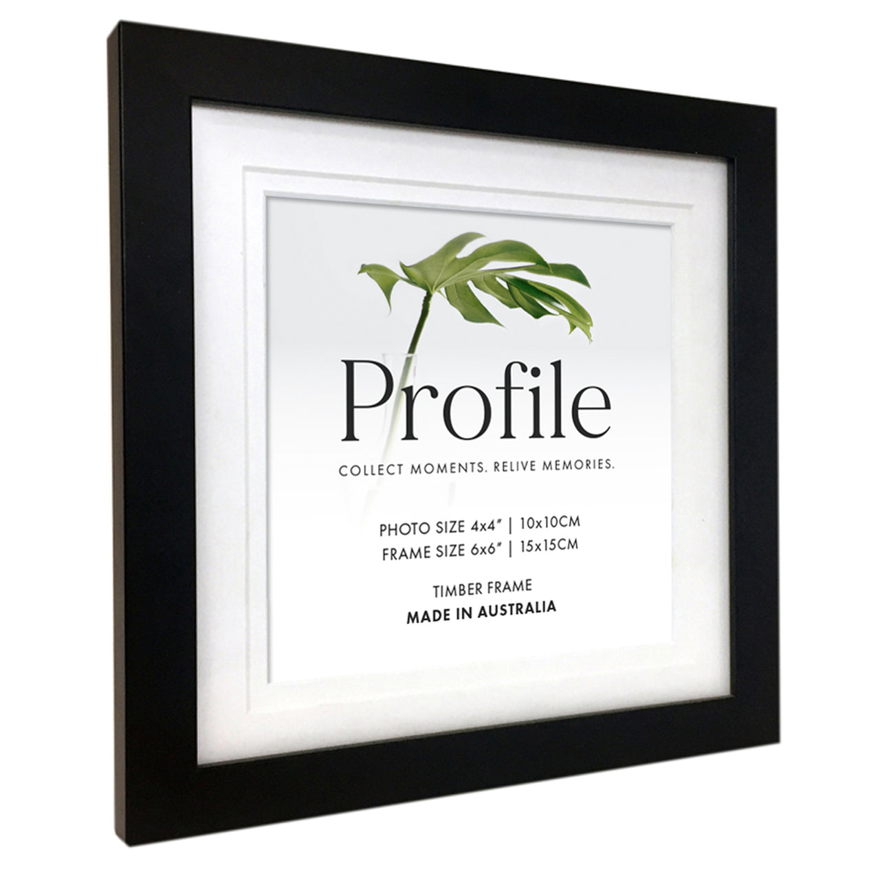 10x10 frame shop
