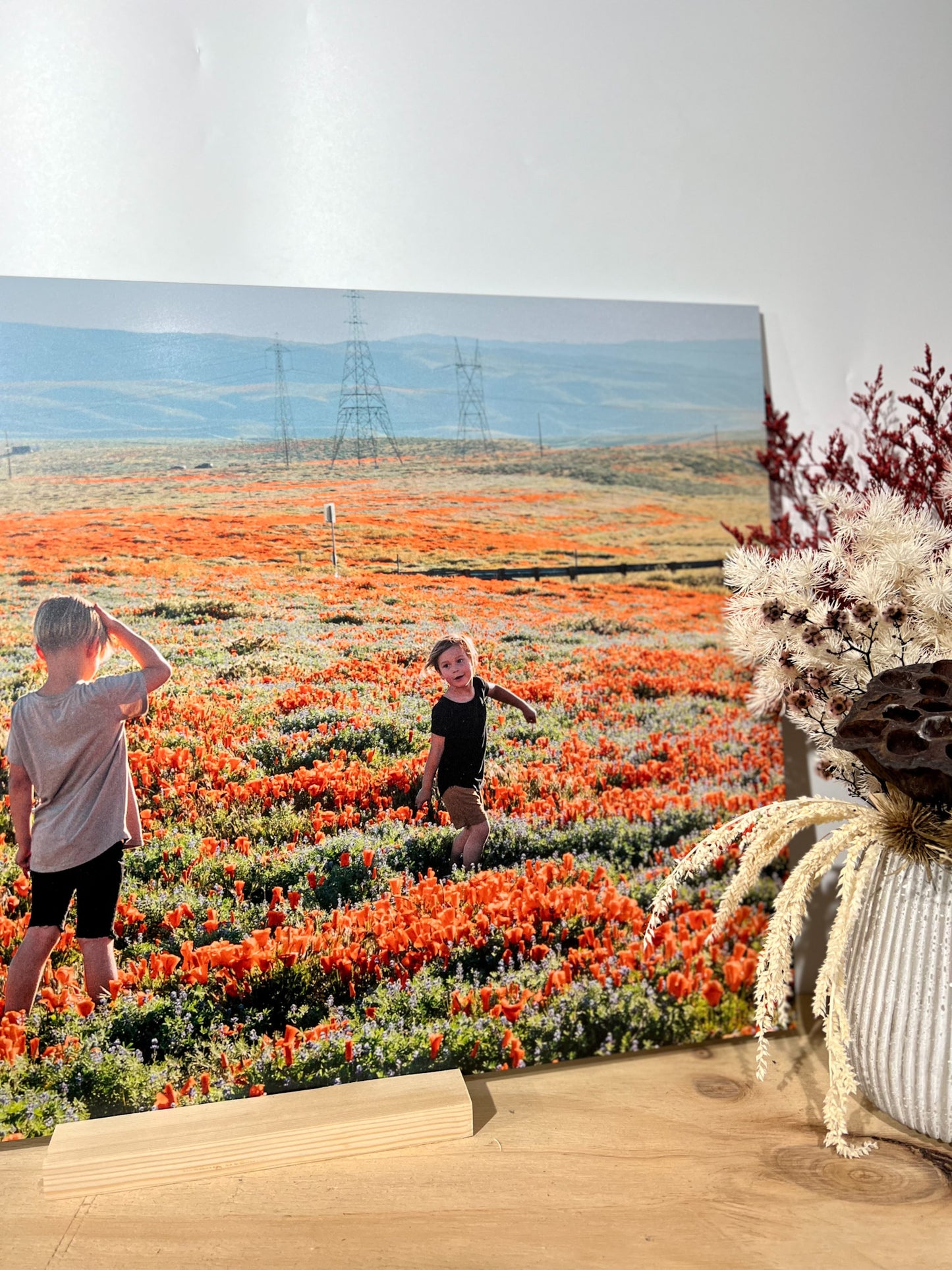 Metal Photo Print - Feature