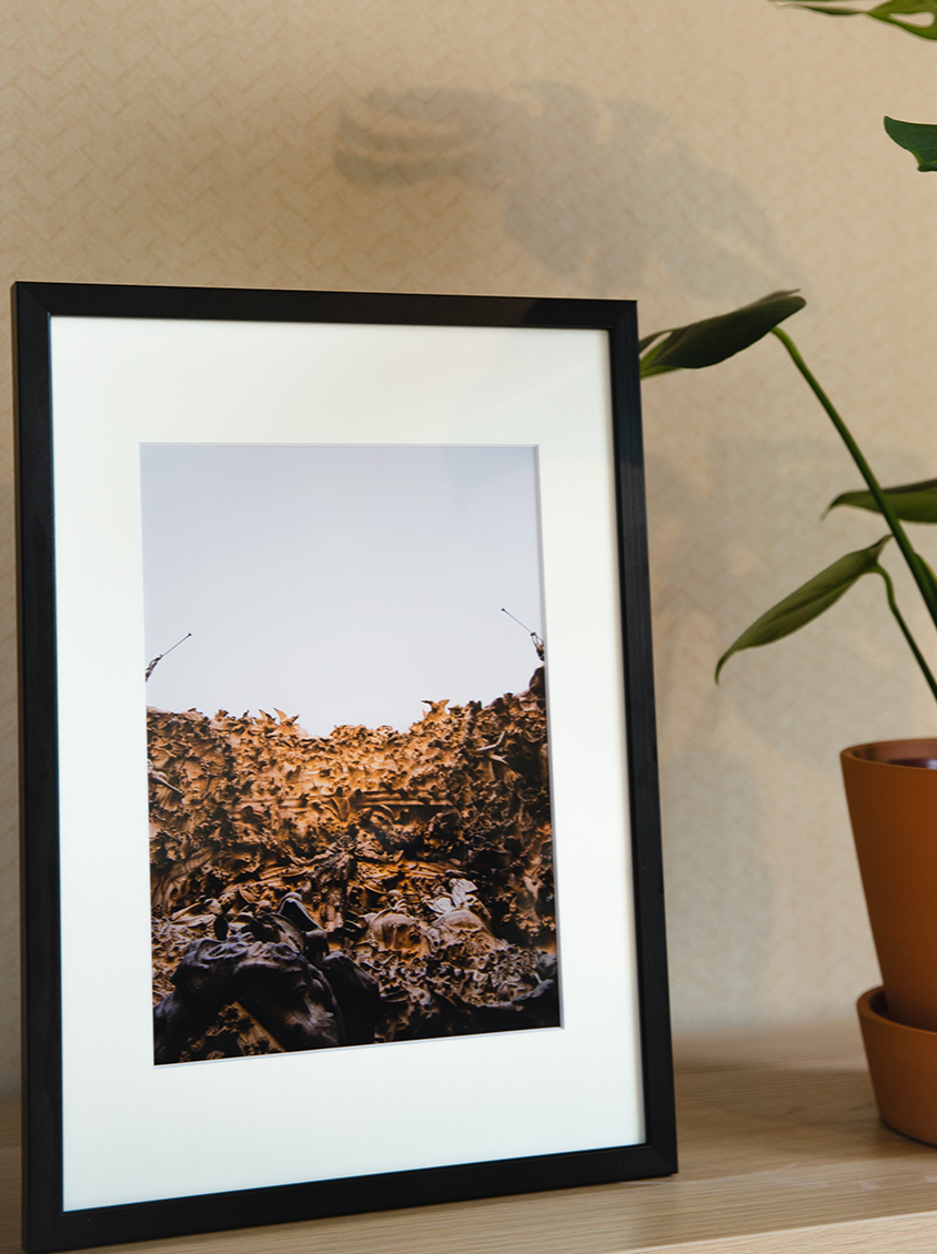 Professional Enlargement & Poster Prints (16" to 60" wide)