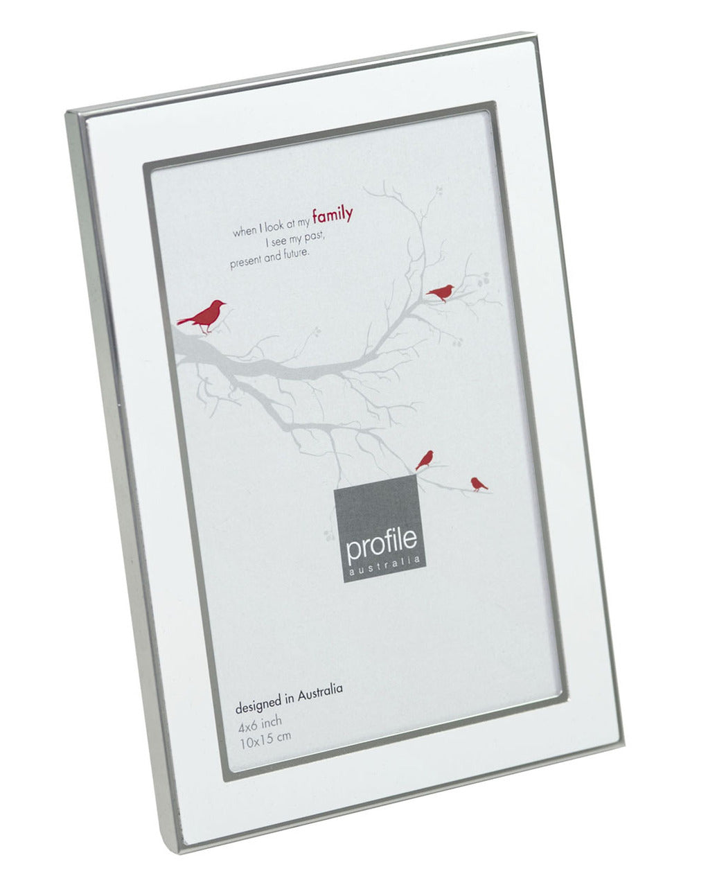 Eternal Silver Metal Photo Frame