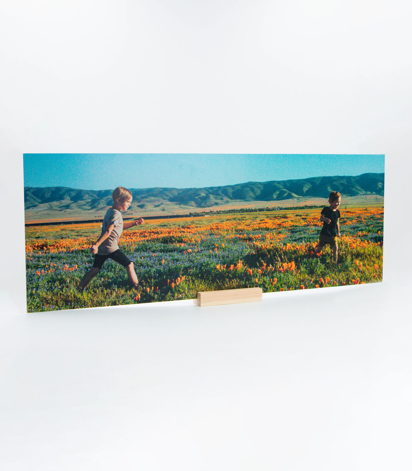 Metal Photo Print - Panorama (21x57.5cm)