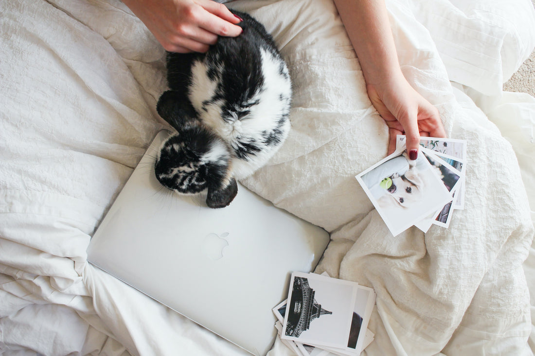 Choosing the Perfect Photos for Printing