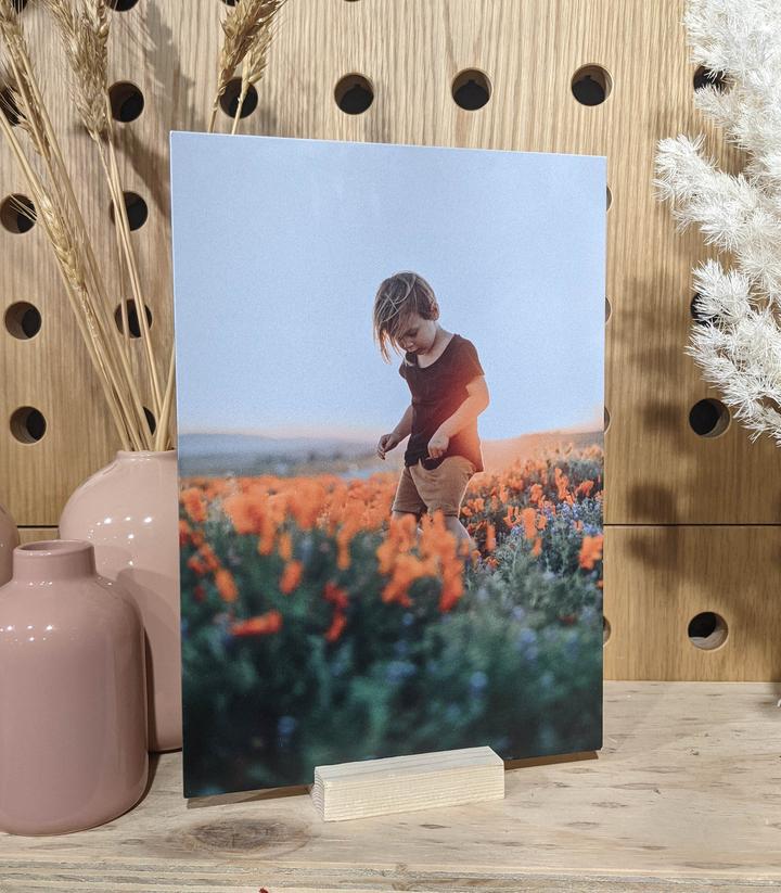 Metal Photo Print - Set of 3 (Feature, Square, Classic)