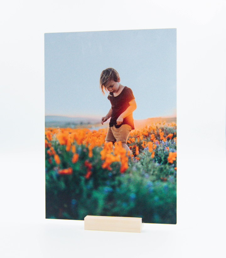 Metal Photo Print - Set of 3 (Feature, Square, Classic)